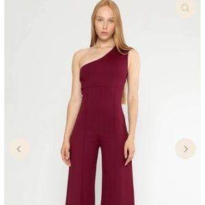 NWT RIPLEY RADER - Gorgeous wide leg ponte knit jumpsuit Color: WINE